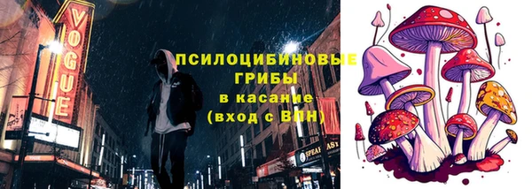твердый Бугульма